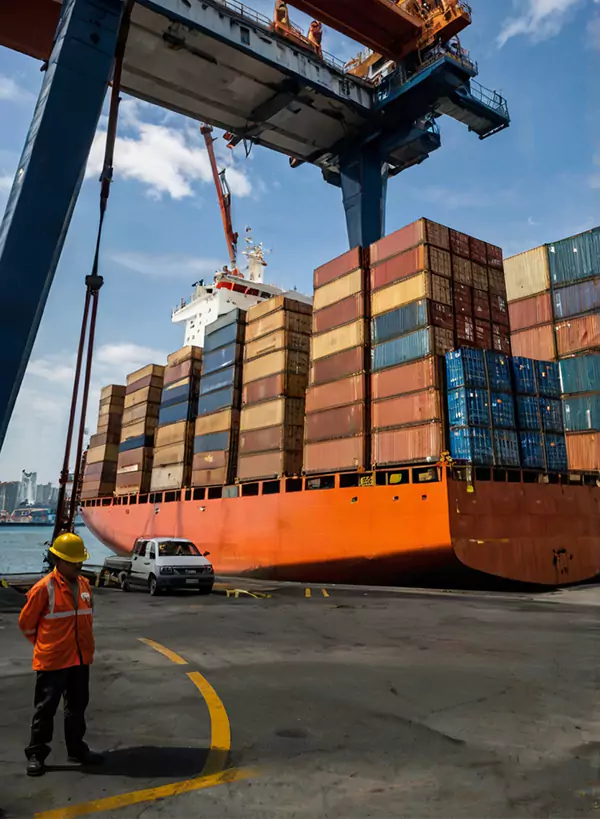 contact-logistics