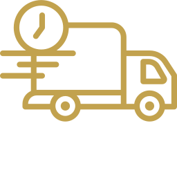 fast-delivery (2)